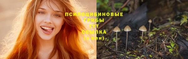 МДМА Надым