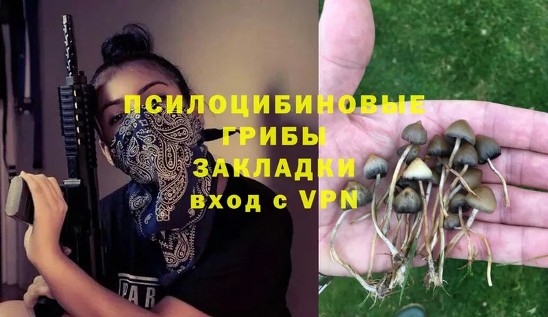 Галлюциногенные грибы Cubensis Яровое