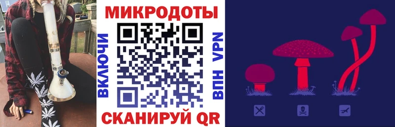 omg вход  Яровое  Галлюциногенные грибы ЛСД 